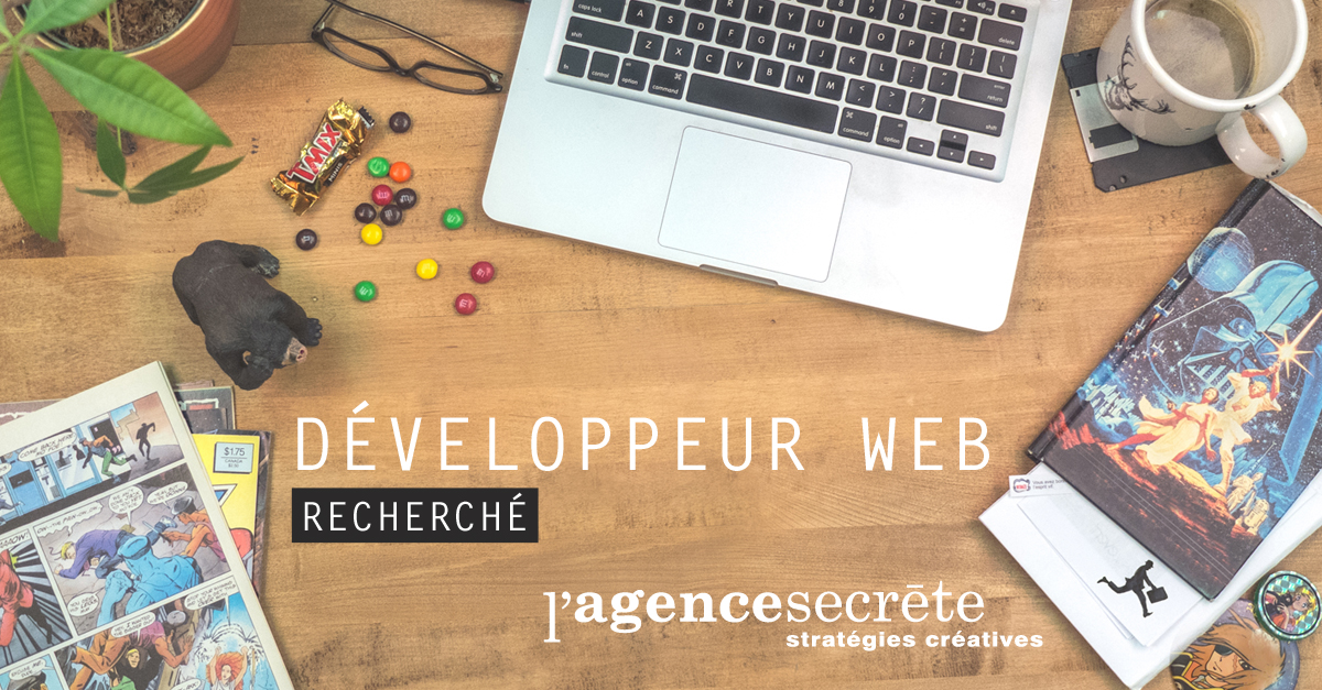 Développeur web recherché