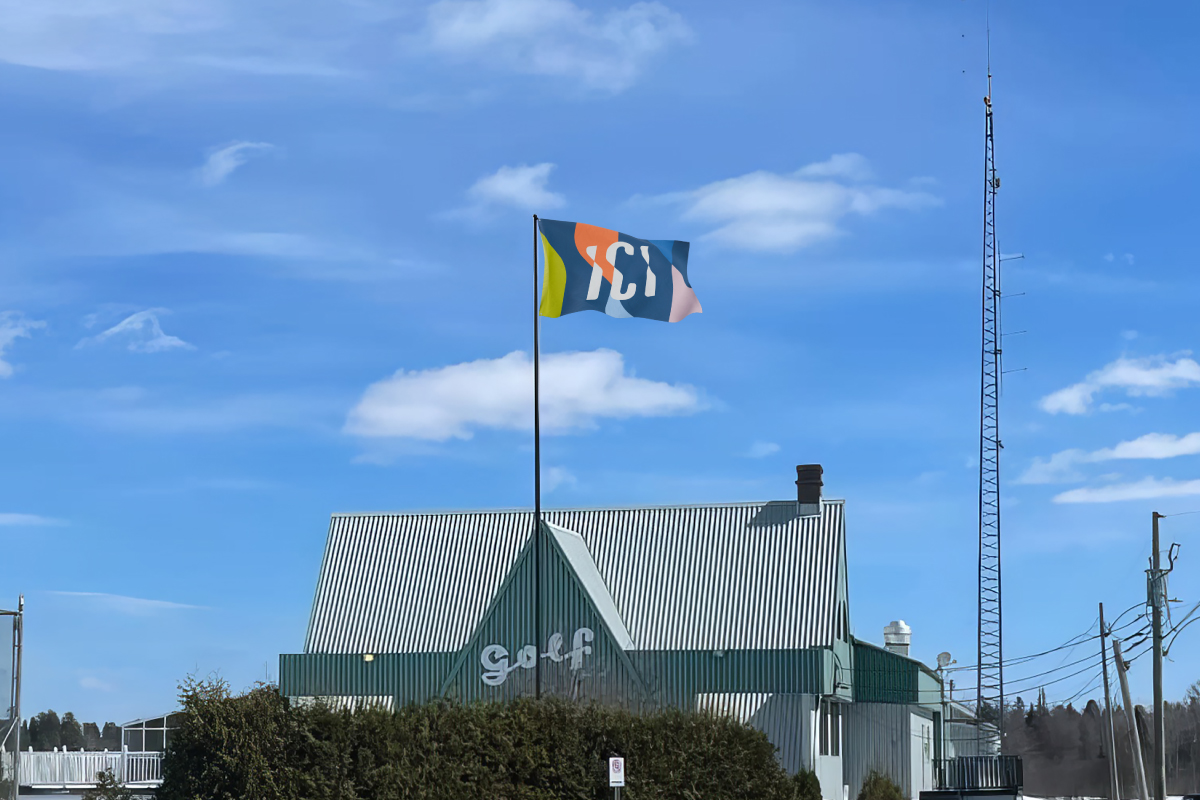 SDEM-drapeau