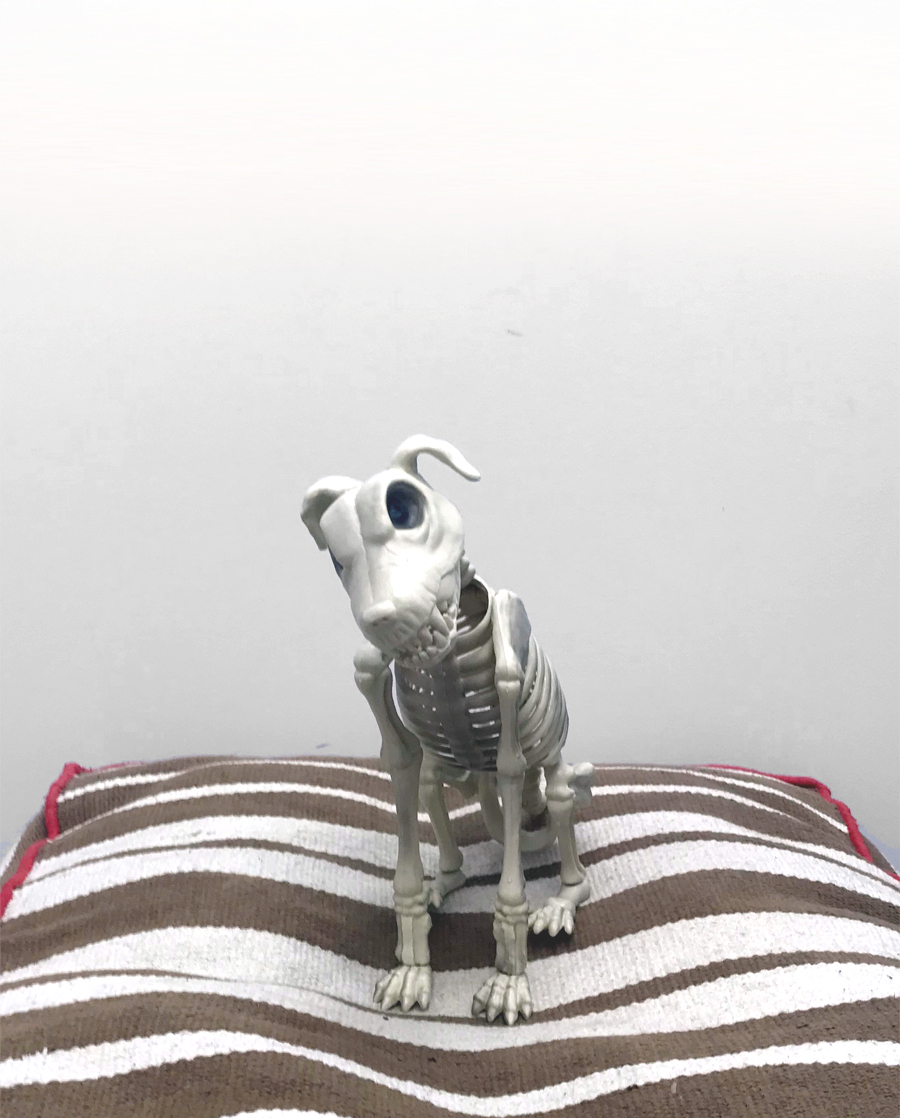 Paquet d'os - Mascotte